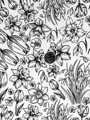 Spring Has Sprung - Underglaze Transfer Sheet