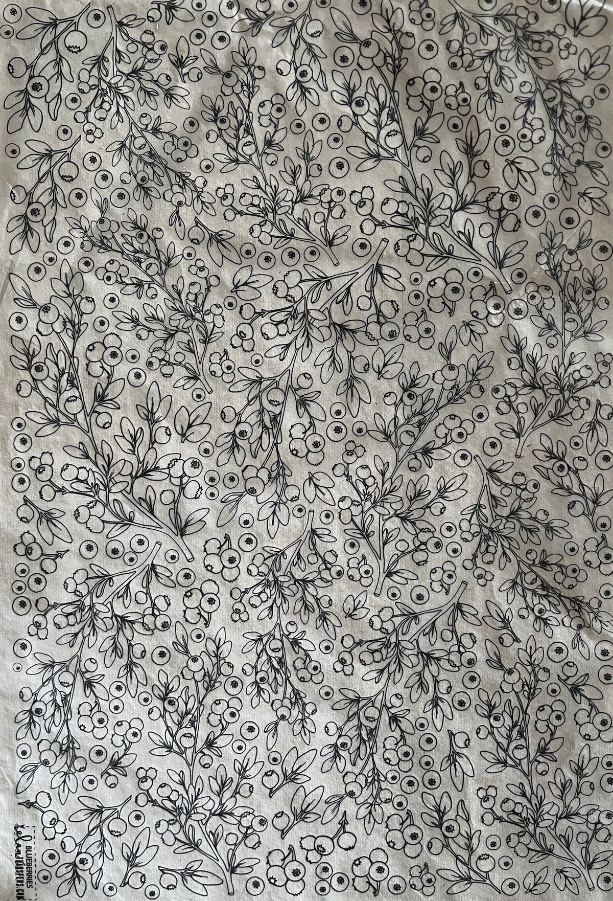 Blueberries - Underglaze Transfer Sheet