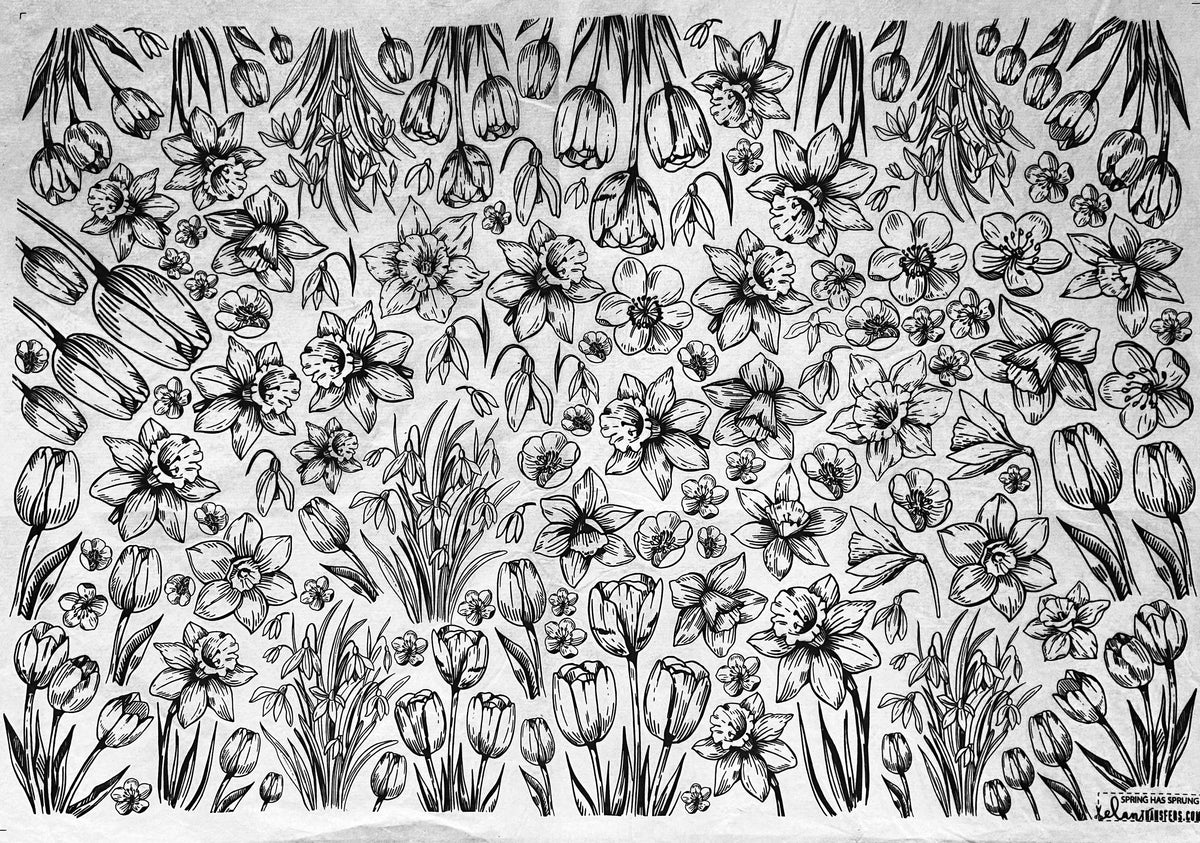 Spring Has Sprung - Underglaze Transfer Sheet