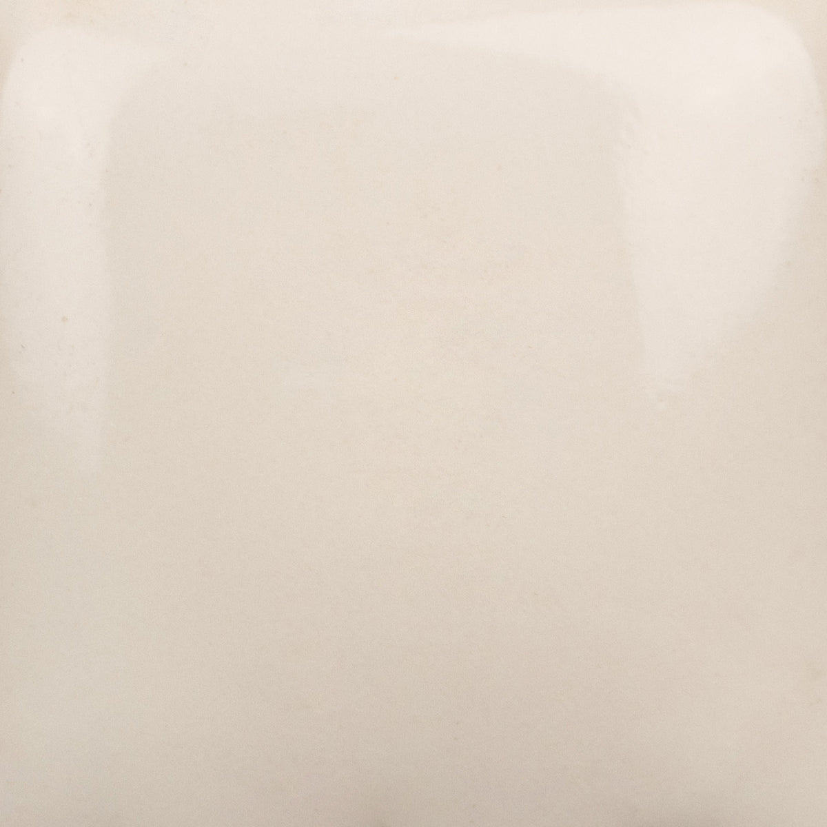 Cotton Tail