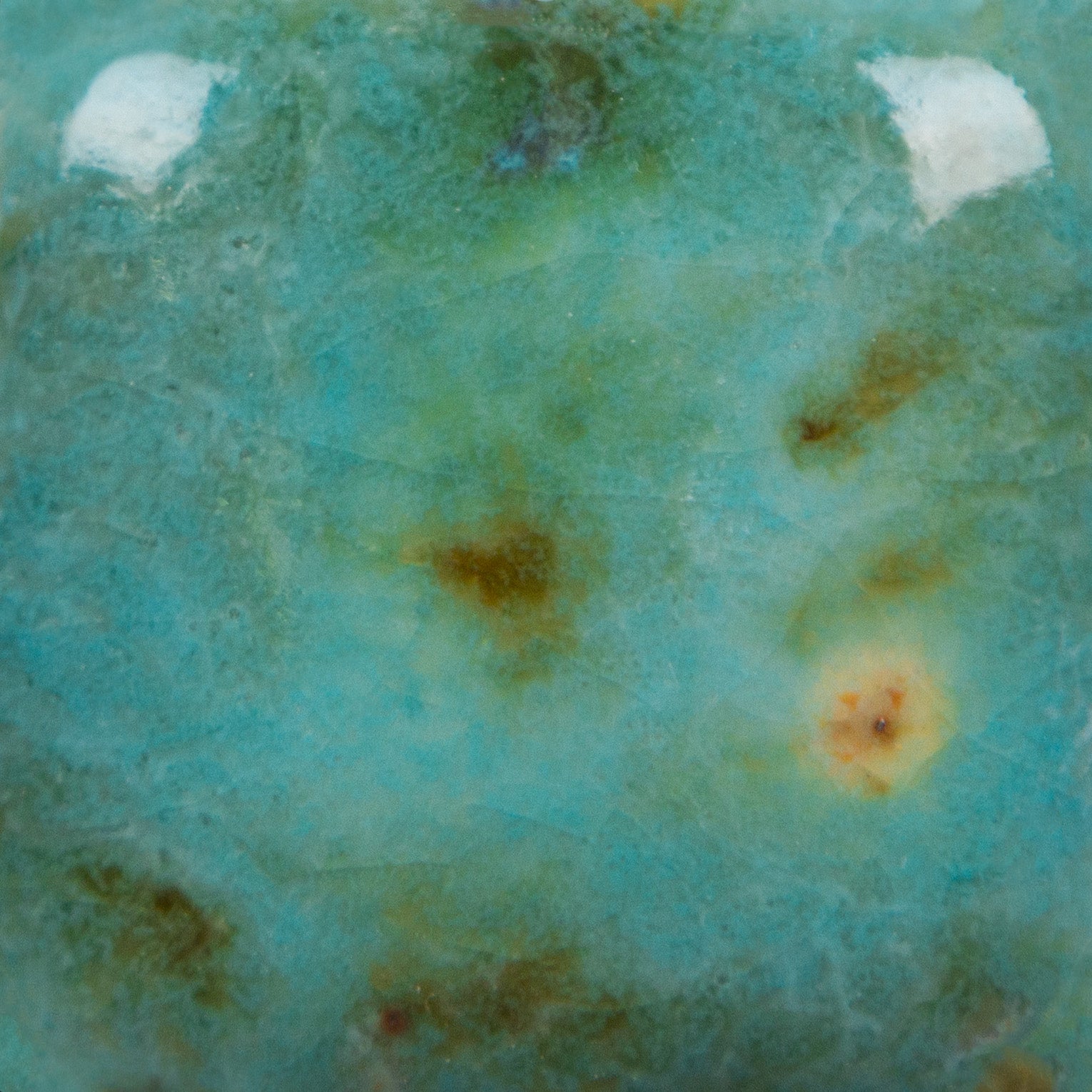 Blue Guppy