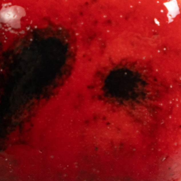 Ladybug