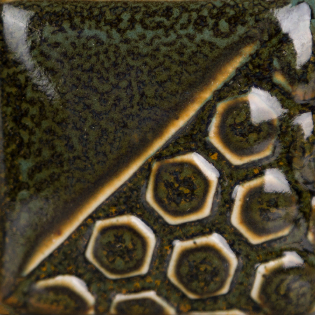 Turtle Shell