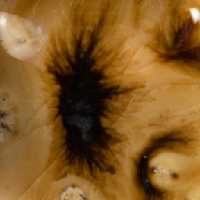 Oriental Caramel