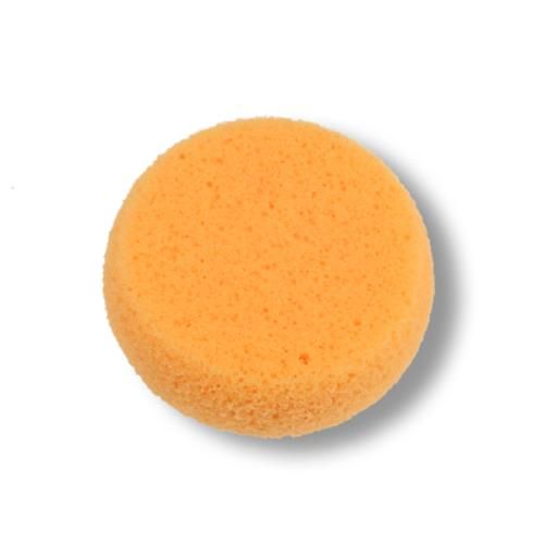 Potter Sponge