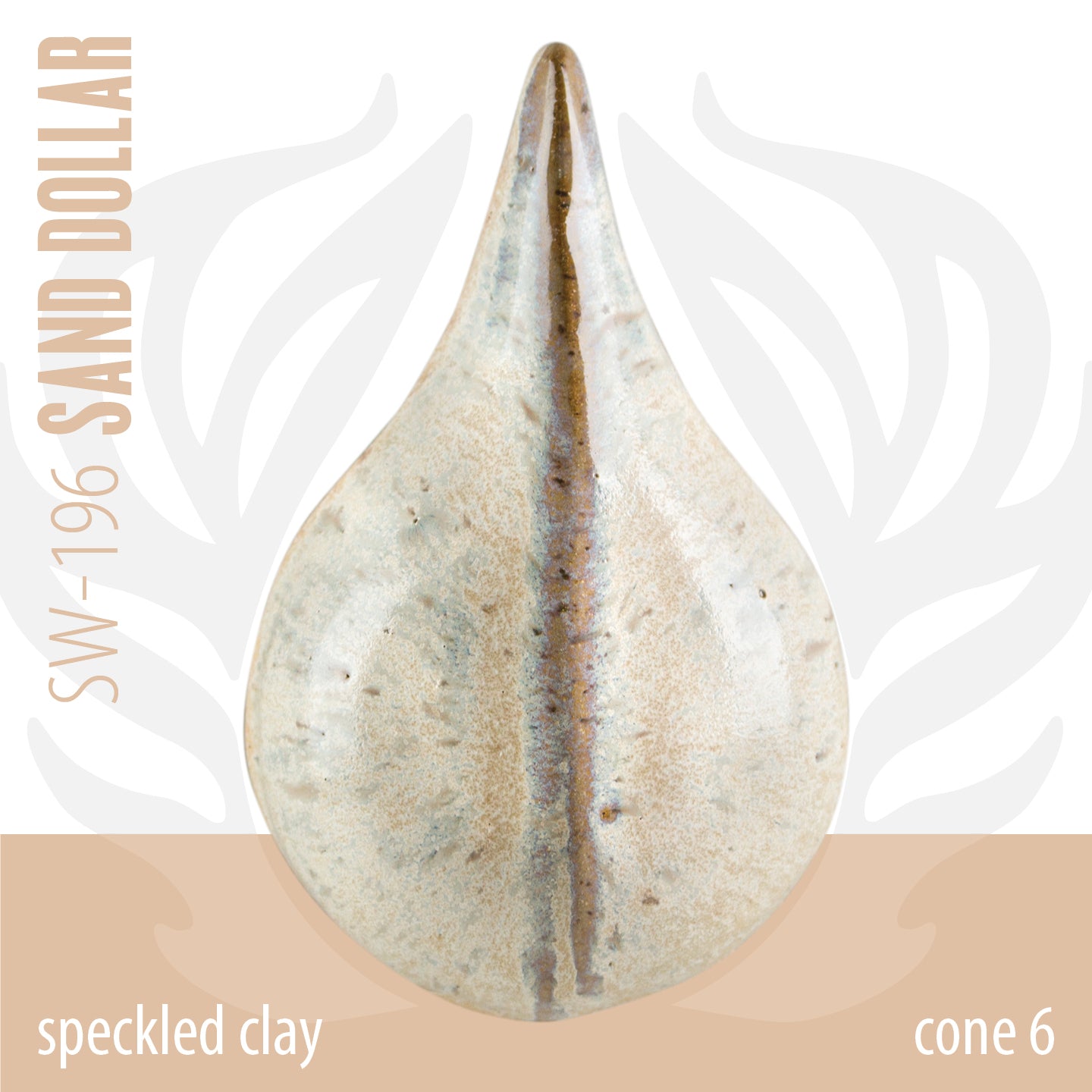 Sand Dollar