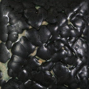 Black Mudcrack