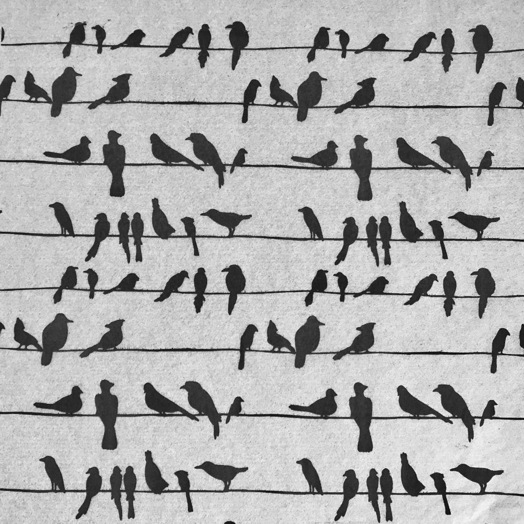 Birds on a Wire - Underglaze Transfer Sheet